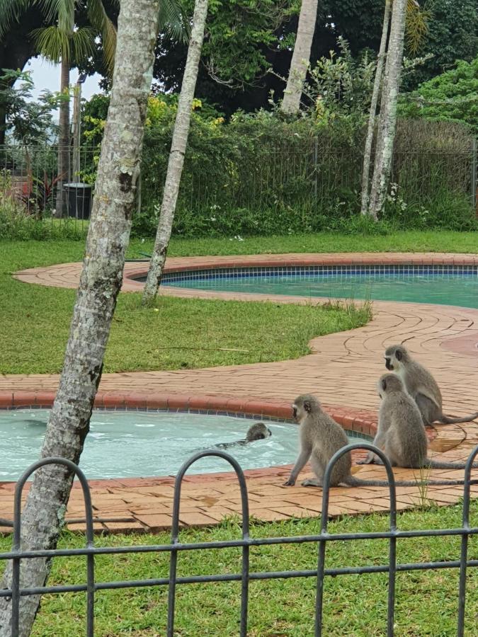 Appartamento Unit 30 The Bridge - Family Unit In A Prime Spot On The Ground Floor Saint Lucia Estuary Esterno foto