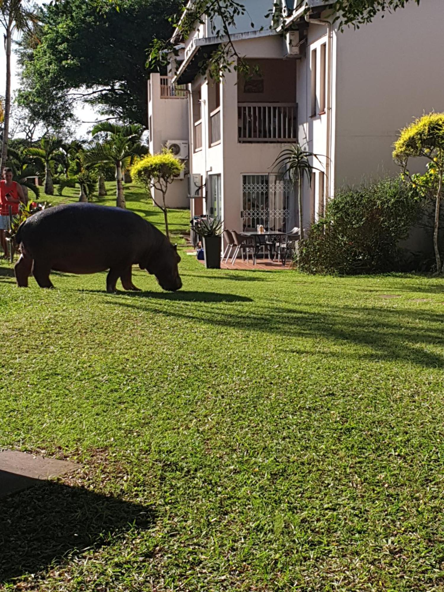 Appartamento Unit 30 The Bridge - Family Unit In A Prime Spot On The Ground Floor Saint Lucia Estuary Esterno foto